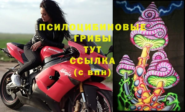 бошки Вяземский