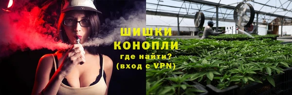 бошки Вяземский